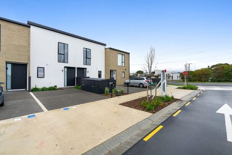 Photo of property in 69 Pipi Place, Levin, 5510