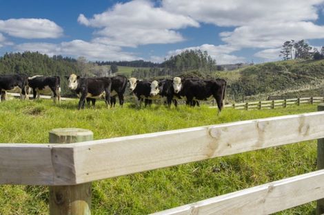 Photo of property in 1103 Pohuehue Road, Warkworth, 0983