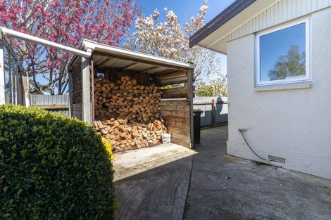 Photo of property in 59 Hillary Street, Winton, 9720