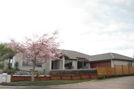 Photo of property in 8 Channing Close, Bethlehem, Tauranga, 3110