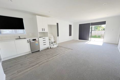 Photo of property in 2/2 Searancke Place, Fairfield, Hamilton, 3214