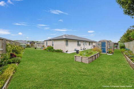 Photo of property in 23 Merino Crescent, Amberley, 7410