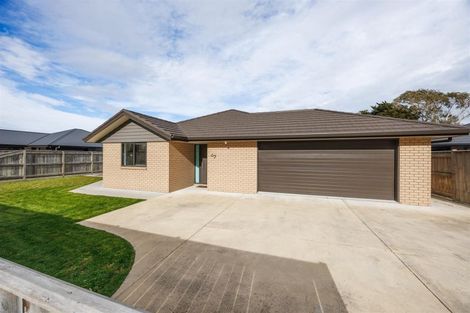 Photo of property in 51 Wilson Street, Bulls, 4818