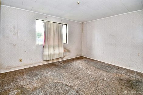 Photo of property in 29 Akarana Avenue, Mount Roskill, Auckland, 1041