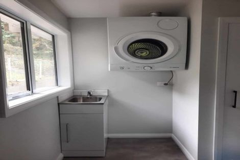 Photo of property in 145 The Ridgeway, Mornington, Wellington, 6021