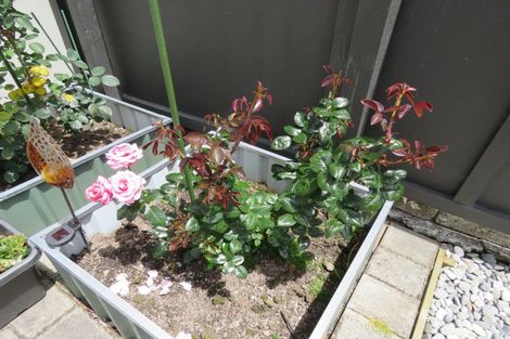 Photo of property in 41b Domett Street, Westport, 7825