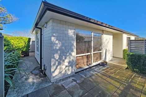 Photo of property in 29a Collingwood Street, Waterloo, Lower Hutt, 5011
