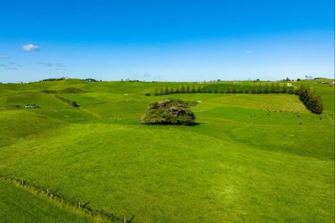 Photo of property in 1000 Redhill Road, Te Kopuru, Dargaville, 0371