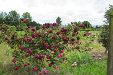 Photo of property in 344 Hughes Line, West Taratahi, Carterton, 5887