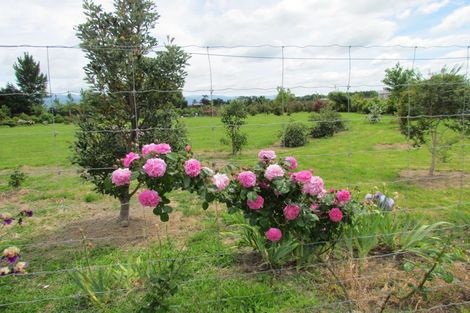 Photo of property in 344 Hughes Line, West Taratahi, Carterton, 5887