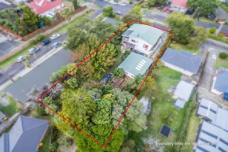 Photo of property in 21 Karaka Street, New Lynn, Auckland, 0600