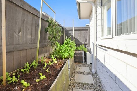 Photo of property in 5 Lance Way, Papamoa, 3118