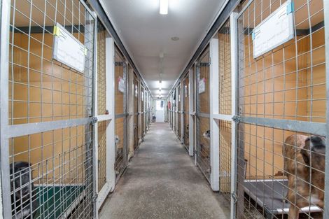 Photo of property in 286 Totara Road, Ngakuru, Rotorua, 3077