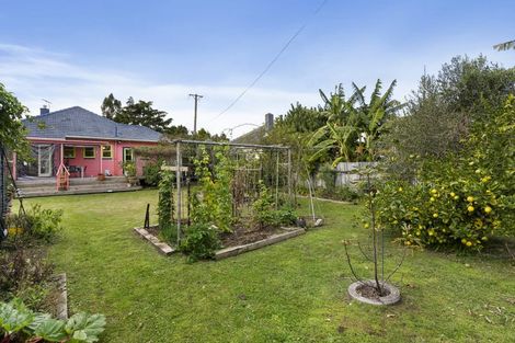 Photo of property in 160 Rosebank Road, Avondale, Auckland, 1026