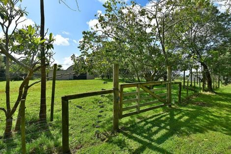 Photo of property in 115 Shelly Beach Road, Shelly Beach, Helensville, 0874