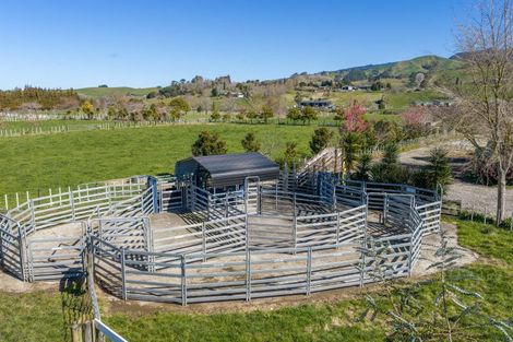 Photo of property in 101 Ormsby Road, Pirongia, Te Awamutu, 3876