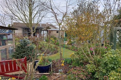 Photo of property in 8 Moorhouse Street, Waimate, 7924