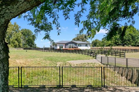 Photo of property in 3791 Ohaupo Road, Ohaupo, 3882