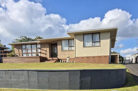 Photo of property in 17 Girvan Place, Tokoroa, 3420