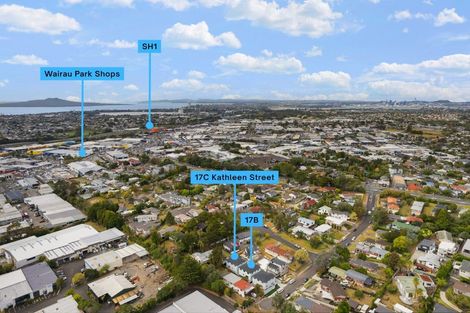Photo of property in 17b Kathleen Street, Totara Vale, Auckland, 0627