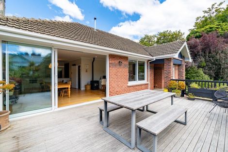 Photo of property in 43 Melrose Street, Roslyn, Dunedin, 9010