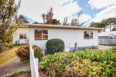 Photo of property in 1 Jenks Street, Foxton, 4814