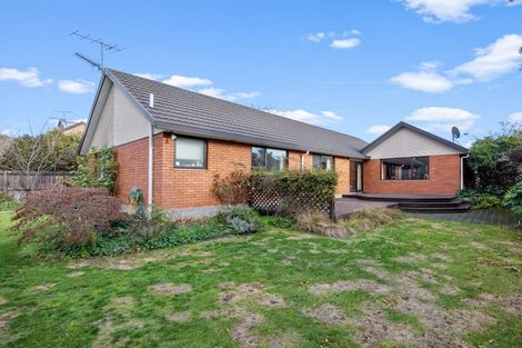 Photo of property in 7 Elisha Drive, Witherlea, Blenheim, 7201