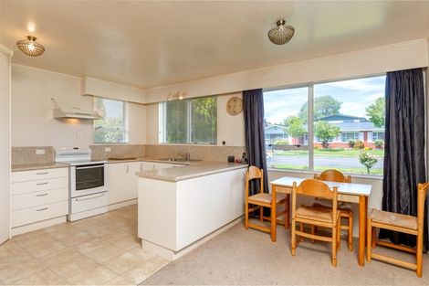 Photo of property in 42 Leefield Street, Blenheim, 7201