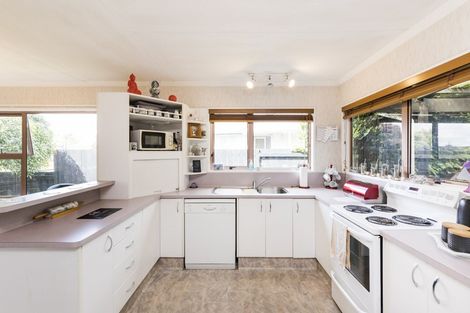 Photo of property in 6 Paradise Place, Milson, Palmerston North, 4414