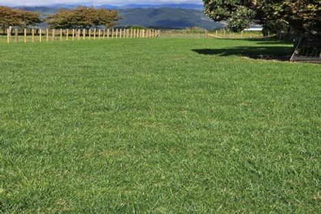 Photo of property in 147 Koputaroa Road, Levin, 5575