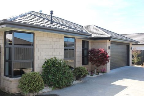 Photo of property in 12 Begley Place, Frimley, Hastings, 4120