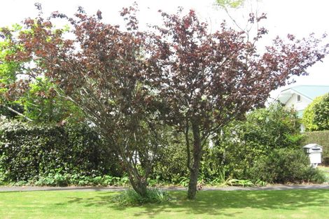 Photo of property in 11 Richardson Avenue, Whataupoko, Gisborne, 4010