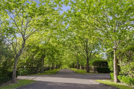 Photo of property in 43 Postman Road, Dairy Flat, Albany, 0794