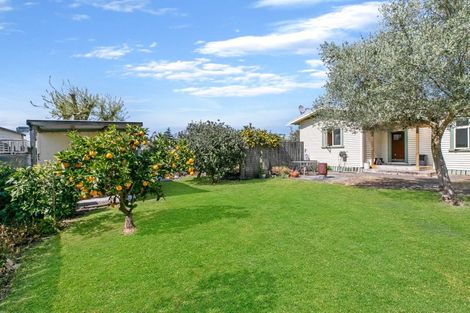 Photo of property in 158 Studholme Street, Morrinsville, 3300