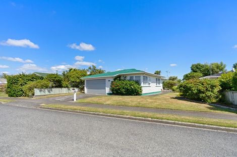 Photo of property in 36 Marlborough Street, Levin, 5510