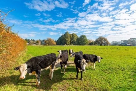 Photo of property in 284 Raynes Road, Rukuhia, Hamilton, 3282