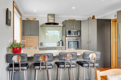 Photo of property in 17 Northfield Avenue, Opoho, Dunedin, 9010