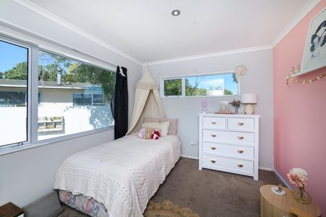 Photo of property in 43 Hillary Crescent, Ashhurst, 4810