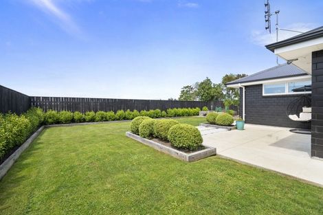 Photo of property in 166 Ranfurly Road, Feilding, 4702