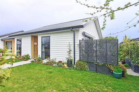 Photo of property in 29 John Mcdonald Mews, Masterton, 5810