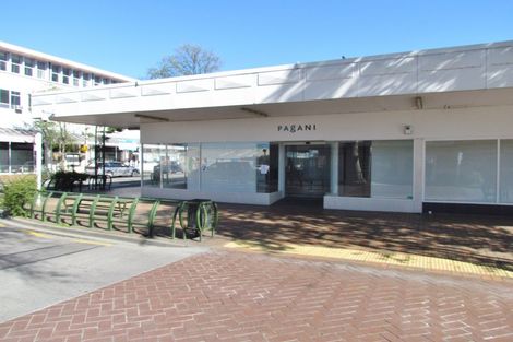 Photo of property in 108 Queen Street West, Levin, 5510