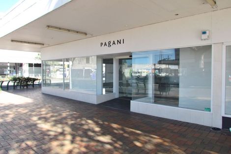 Photo of property in 108 Queen Street West, Levin, 5510