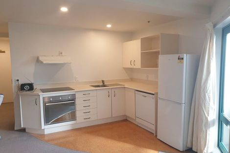 Photo of property in Courtenay Apartments, 208/120 Courtenay Place, Te Aro, Wellington, 6011