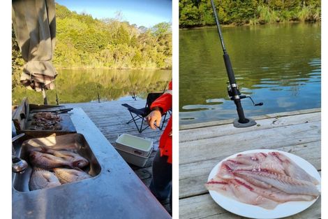 Photo of property in 38 Rivendell Place, Warkworth, 0910