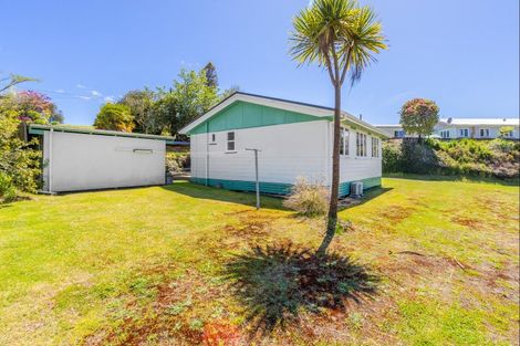 Photo of property in 55 Ward Street, Taumarunui, 3920