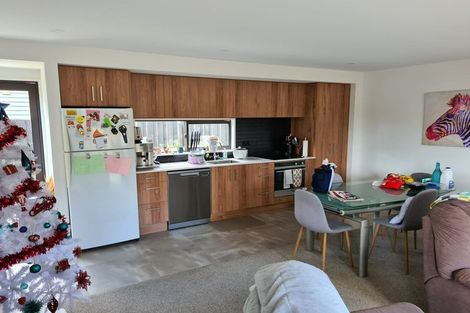 Photo of property in 58 Edward Avenue, Edgeware, Christchurch, 8013