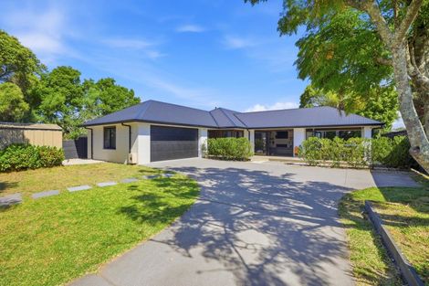 Photo of property in 138 Gloucester Road, Mount Maunganui, 3116
