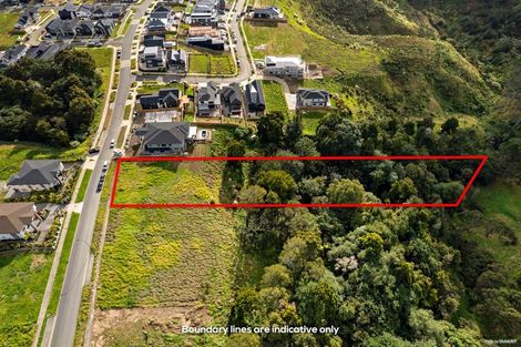 Photo of property in 25 Michael Bosher Way, Flat Bush, Auckland, 2019