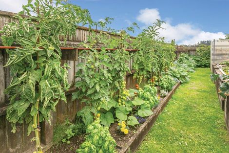 Photo of property in 14 Walmsley Road, Waihi, 3610