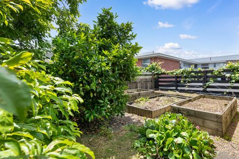 Photo of property in 17 Victoria Avenue, Morrinsville, 3300